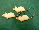 mice 3 natural